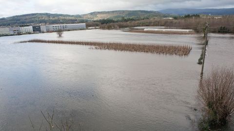 Terrenos de la parte posterior del polígono de Pazos (Padrón) tras las nuevas inundaciones.