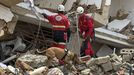 Fotograf�a del d�a 1 de julio de la perra de la Unidad Canina de los bomberos del Ayuntamiento de Alicante, Nala.