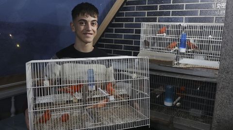 Marcos Agra , criador de canarios de Melide