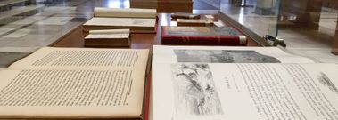 Tras la muestra de cristales de proyecci�n, los libros copan estos d�as el vest�bulo del Lucus Augusti.