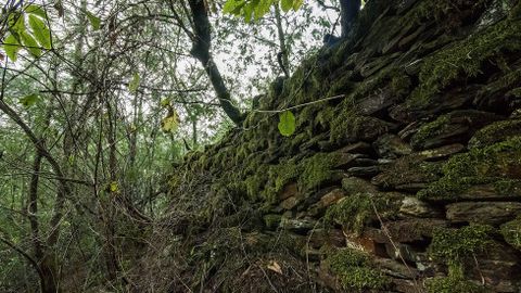 Restos de muros en el castro de Barreiro, que pudo estar relacionado con la mina de hierro