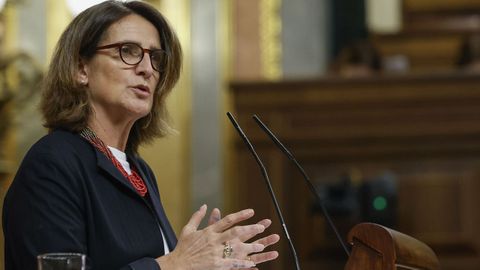 Ribera, este mircoles compareciendo ante el Congreso de los Diputados para explicar la gestin de la dana