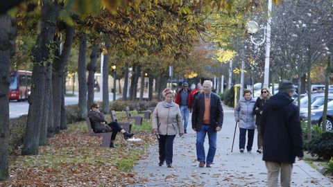 Llega el oto�o a los �rboles de la ciudad. Elvi�a