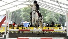 Entre las actividades organizadas cada a�o por Socade est� la feria de San Marti�o. 