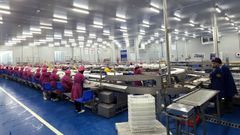 La planta de Casablanca tiene capacidad para procesar 15.000 toneladas de at�n anuales.