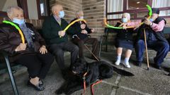 Usuarios de As G�ndaras interact�an con Bal�, un labrador negro 