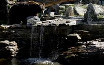 Una de las �experiencias� que propone Lugo Terra es una escapada que combina naturaleza e historia, con hotel, desayuno, visita al zoo de Marcelle y al castro y al museo de Viladonga, por 33 euros.