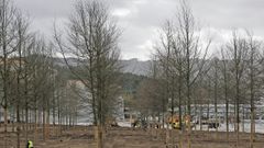 Bosque de 20.000 metros en la sede de Inditex en Sab�n, Arteixo