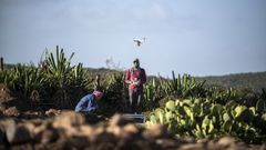 El barbanzano realizando trabajados de reconocimiento en un hallazgo en Somalilandia.