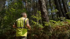Supervisi�n de fincas en franjas secundarias, en una imagen tomada en Barbanza 