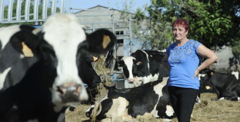 M�guez pon o acento na constante inseguridade na que vive o sector estes anos apuntando que �nunca estamos tranquilos�. 