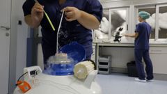 Unidad del Hospital Quir�nsalud A Coru�a donde se conservan los �vulos en nitr�geno l�quido a -196 grados