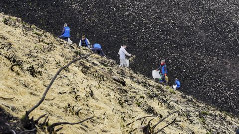 Voluntarios protegen los montes afectados por los incendios forestales en Vilamart�n de Valdeorras