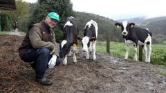 La granja Cesares Holstein posa junto a las vacas m�s j�venes