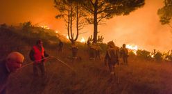 El monte Pindo, consumido por las llamas en el voraz incendio de septiembre del 2013. 
