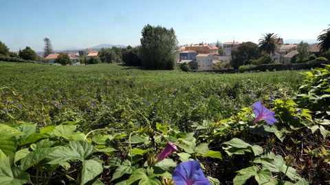 En la zona de A Virxe do Monte de A Pobra se levantar�n tres bloques con 96 pisos que han despertado el inter�s de un gran n�mero de turistas