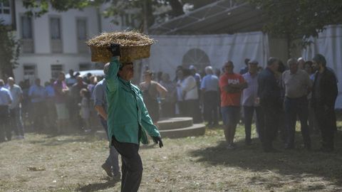 Festa da Malla en Castro de Rei. 