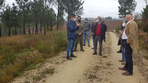 Trabajos silvcolas en la zona de Nogueir