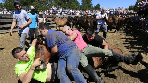 Las  bestas  no se lo pusieron fcil a los  aloitadores 