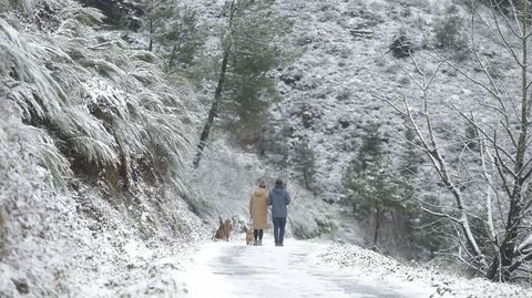 Una pareja pasea sus perros entre la nieve este viernes por la ma�ana en las cercan�as del pueblo de Campodola, en la monta�a de Quiroga