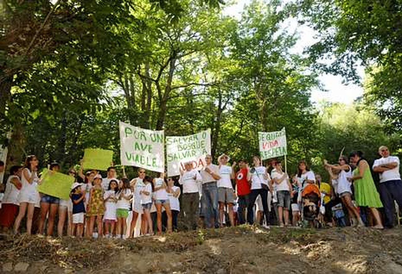 Una cadena humana protesta en Laza contra la tala de árboles ...