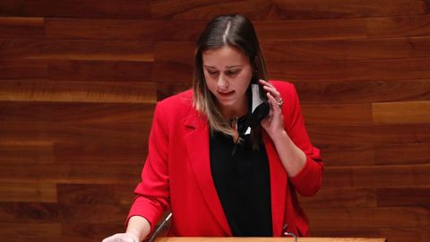 La diputada regional socialista, Alba �lvarez.