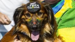 Manifestaci�n en Brasil contra Rousseff