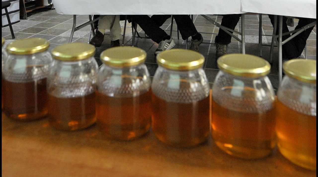 Expertos en apicultura participan en la jornada técnica que celebra Avespa