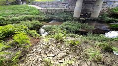 Grietas en el lodo por la sequ�a en el Lagares a su paso por Bala�dos.