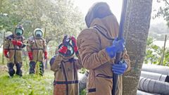 Imagen de un operativo para retirar un nido en O Pino llevado a cabo por la empresa Seaga