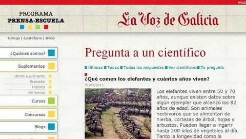 En www.prensaescuela.es podr�s aprender m�s sobre los elefantes.