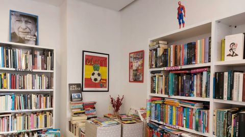 Tiene literatura infantil y juvenil, tem�tica asturiana y un largo etc�tera.