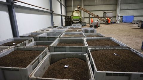 Interior de las instalaciones de Bioflytech en Palas de Rei  