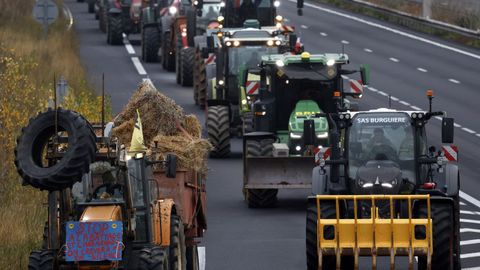 Los agricultores franceses llevan ya d�as cortando carreteras p�ra protestar por Mercosur y la dermatosis nodular