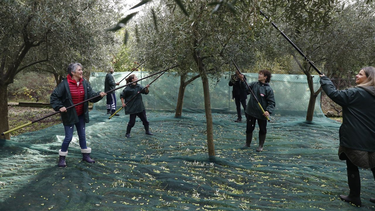 Aceites Abril, un viaje a por vino que derivó en un negocio aceitero que exporta a 65 países