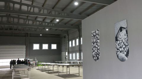 Interior de la nave de O Ramal cuya actividad ha sido parada por orden de Ravella.