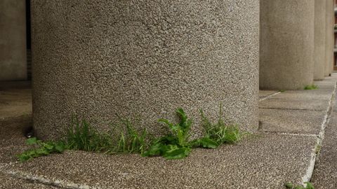 Palacio de la �pera