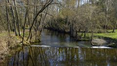 En Ver&iacute;n se puede disfrutar de un agradable paseo al lado del T&aacute;mega, hacia el norte del r&iacute;o, pasando por A Pousa y A Preguiza.