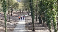 El nuevo tramo est� dominado por �rboles y vegetaci�n y a unos metros del r�o Mi�o