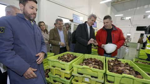 Rueda visita las obras de la lonja de Cambados y la subasta de marisco del d�a