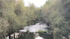 Imagen del Sar con el cauce lleno de espuma blanca, unos d�as despu�s del vertido
