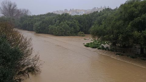 El r�o P�caro desborda sus m�rgenes a su paso por Las Herrizas, en C�diz 