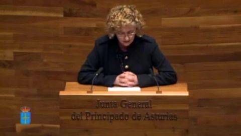 Mar�a Gloria Garc�a lee un poema en asturiano de Pi��n en la Junta General