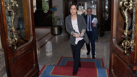 La consejera de Hacienda, Dolores Carcedo, entra en la Junta General del Principado con el proyecto de presupuestos para 2017.La consejera de Hacienda, Dolores Carcedo, entra en la Junta General del Principado con el proyecto de presupuestos para 2017