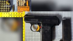As� fue lo incautado en la operaci�n Kaut de la Guardia Civil, en Rois