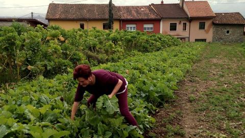 Vecina de Villamorsn (Lillo) en la huerta