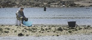 La r�a de O Burgo lleva cerrada al marisqueo desde el pasado 7 de marzo por presencia de hidrocarburos. 