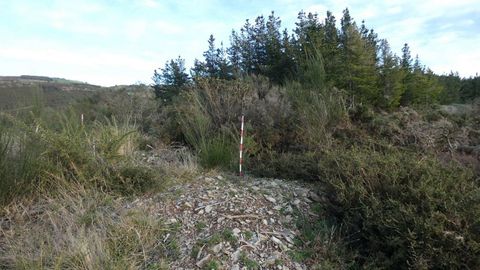 Mmoa atopada na serra de San Pedro