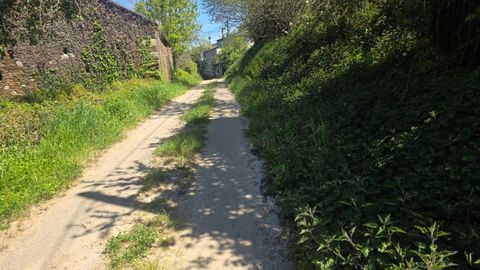 Camino de tierra que lleva al cementerio de Vilarello, en Lncara