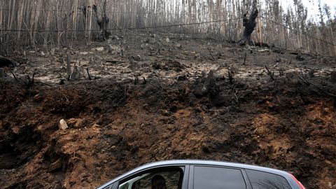 Un incendio destruy una amplia superficie del parque natural en el ao 2012